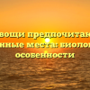 Почему хвощи предпочитают сильно увлажненные места: биологические особенности