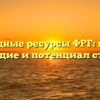 Природные ресурсы ФРГ: богатое наследие и потенциал страны