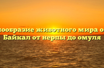 Разнообразие животного мира озера Байкал от нерпы до омуля
