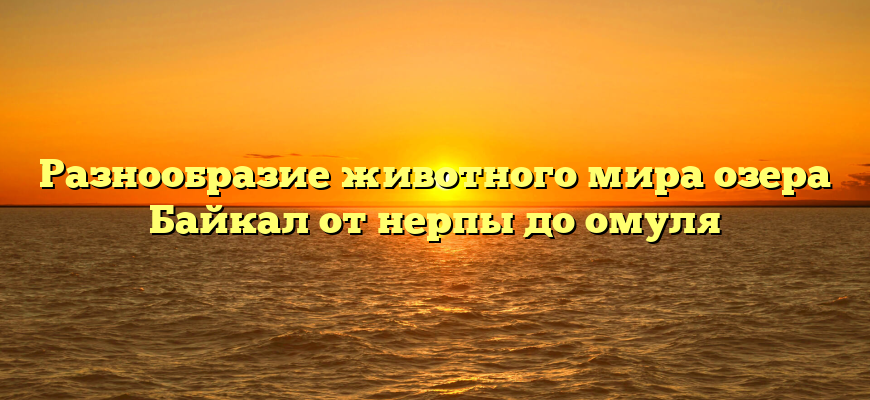 Разнообразие животного мира озера Байкал от нерпы до омуля