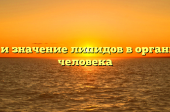Роль и значение липидов в организме человека