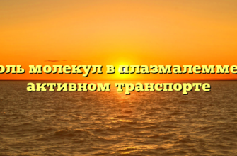 Роль молекул в плазмалемме в активном транспорте