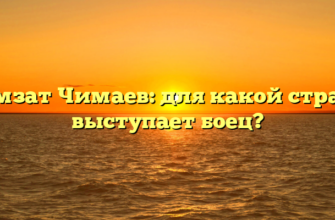 Хамзат Чимаев: для какой страны выступает боец?
