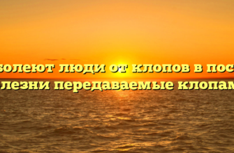 Что болеют люди от клопов в постели Болезни передаваемые клопами