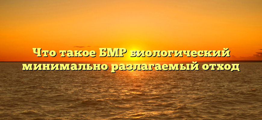Что такое БМР биологический минимально разлагаемый отход