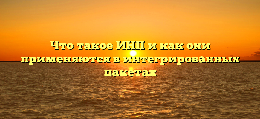 Что такое ИНП и как они применяются в интегрированных пакетах