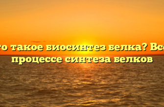 Что такое биосинтез белка? Все о процессе синтеза белков