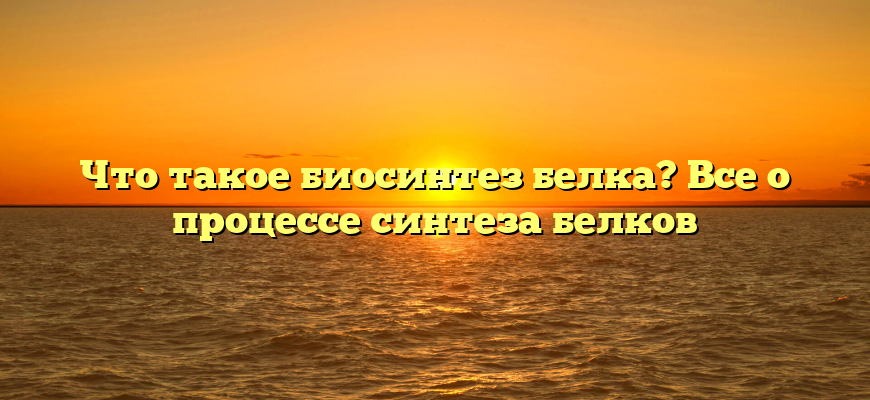 Что такое биосинтез белка? Все о процессе синтеза белков