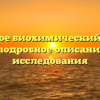 Что такое биохимический анализ крови: подробное описание и суть исследования