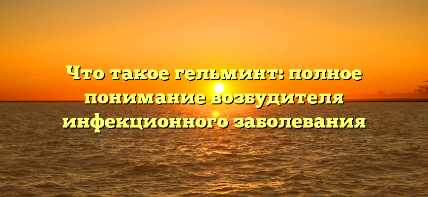 Что такое гельминт: полное понимание возбудителя инфекционного заболевания