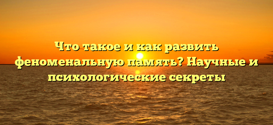Что такое и как развить феноменальную память? Научные и психологические секреты