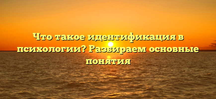 Что такое идентификация в психологии? Разбираем основные понятия
