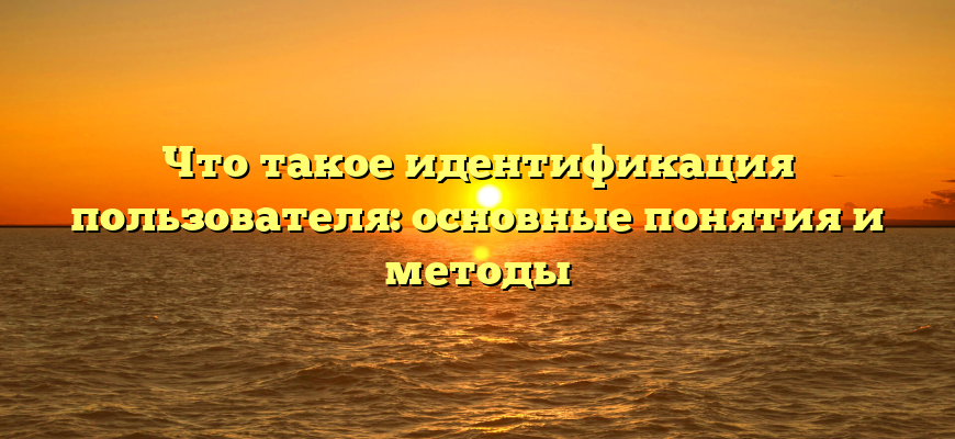 Что такое идентификация пользователя: основные понятия и методы