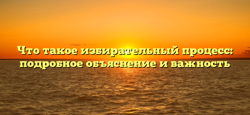 Что такое избирательный процесс: подробное объяснение и важность