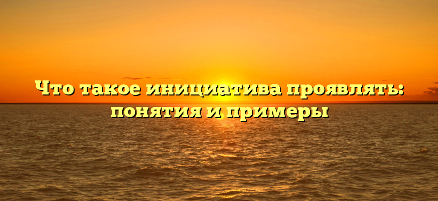 Что такое инициатива проявлять: понятия и примеры