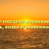Что такое инсценированное чтение — суть, виды и особенности