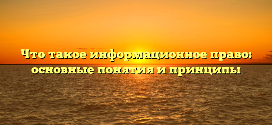 Что такое информационное право: основные понятия и принципы