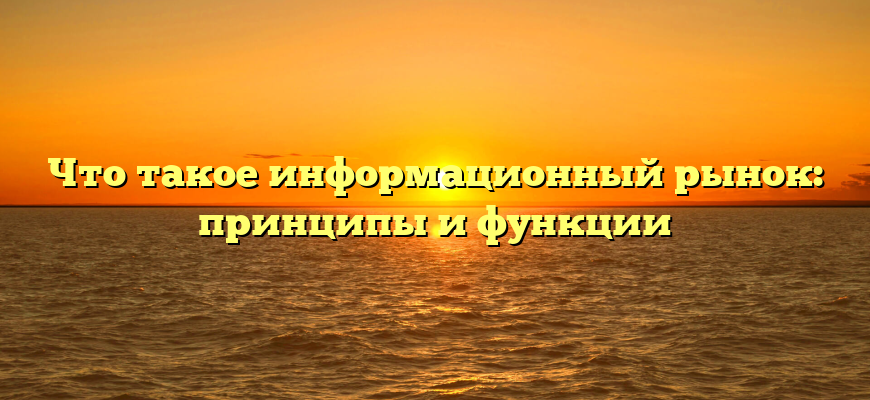 Что такое информационный рынок: принципы и функции