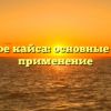 Что такое кайса: основные черты и применение