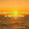 Что такое каратесу: основные понятия и принципы