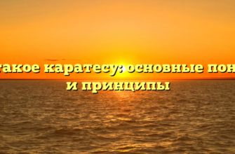 Что такое каратесу: основные понятия и принципы