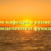 Что такое кафедра в университете: определение и функции