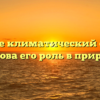 Что такое климатический фактор и какова его роль в природе