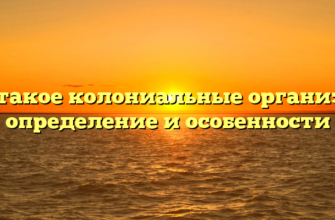 Что такое колониальные организмы: определение и особенности
