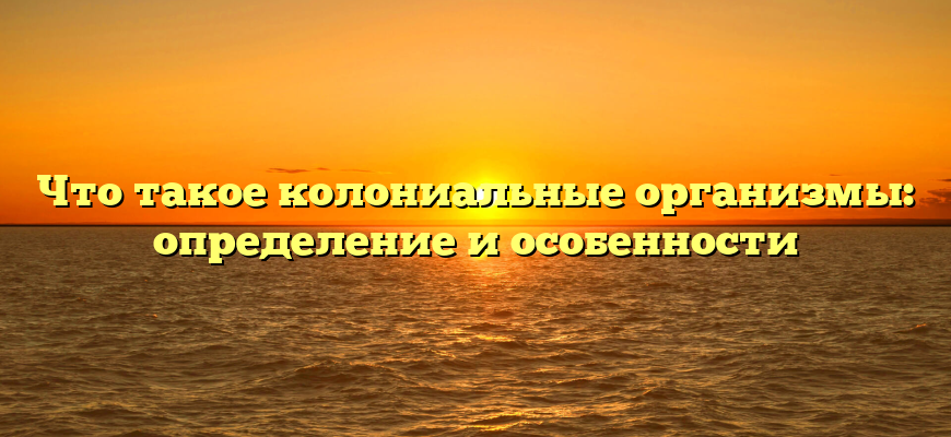 Что такое колониальные организмы: определение и особенности