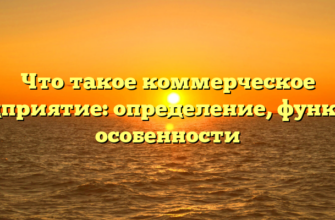 Что такое коммерческое предприятие: определение, функции, особенности