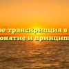 Что такое транскрипция в музыке: понятие и принципы